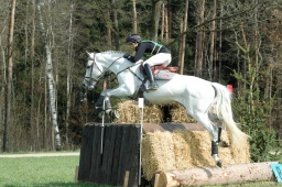 kreuth-2012_cic2-147-jpg