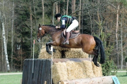 kreuth-2012_cic2-150-jpg