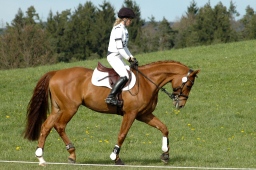 kreuth-2012_va-013-jpg