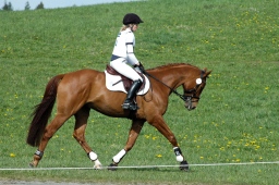 kreuth-2012_va-014-jpg