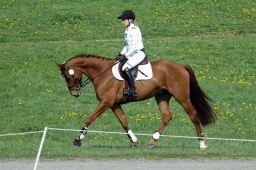 kreuth-2012_va-015-jpg