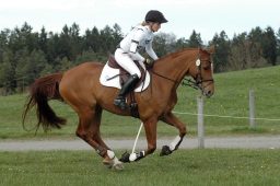 kreuth-2012_va-026-jpg