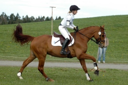 kreuth-2012_va-027-jpg