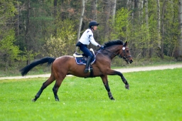 kreuth-2014_cic2-012-jpg