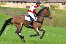 kreuth-2014_cic2-023-jpg