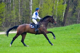 kreuth-2014_cic2-024-jpg