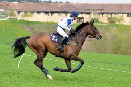 kreuth-2014_cic2-027-jpg