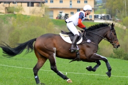 kreuth-2014_cic2-031-jpg