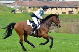 kreuth-2014_cic2-036-jpg
