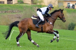 kreuth-2014_cic2-041-jpg