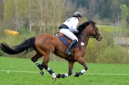 kreuth-2014_cic2-046-jpg