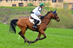 kreuth-2014_cic2-054-jpg