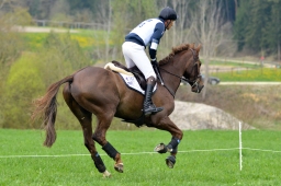 kreuth-2014_cic2-058-jpg