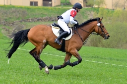 kreuth-2014_cic2-064-jpg