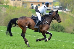 kreuth-2014_cic2-069-jpg