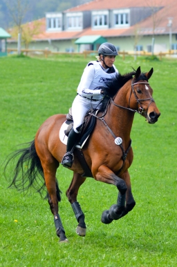 kreuth-2014_cic2-078-jpg