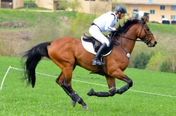 kreuth-2014_cic2-080-jpg