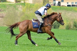 kreuth-2014_cic2-083-jpg