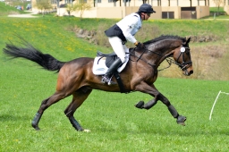 kreuth-2014_cic2-090-jpg