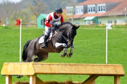 kreuth-2014_cic2-091-jpg