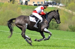 kreuth-2014_cic2-093-jpg