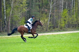 kreuth-2014_cic2-102-jpg