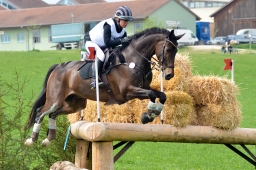 kreuth-2014_cic2-108-jpg