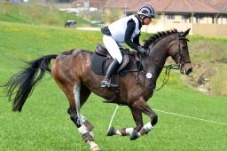 kreuth-2014_cic2-109-jpg