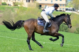 kreuth-2014_cic2-112-jpg