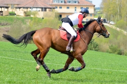 kreuth-2014_cic2-117-jpg