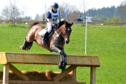 kreuth-2014_cic2-129-jpg