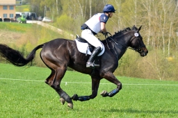 kreuth-2014_cic2-133-jpg