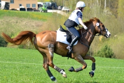 kreuth-2014_cic2-140-jpg
