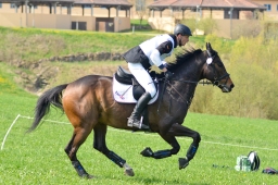 kreuth-2014_cic2-146-jpg