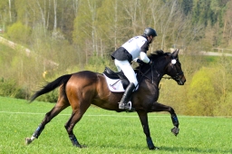 kreuth-2014_cic2-148-jpg