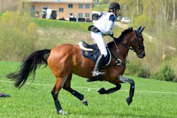 kreuth-2014_cic2-151-jpg