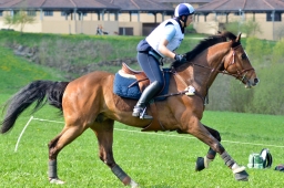 kreuth-2014_cic2-154-jpg