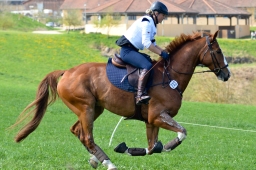 kreuth-2014_cic2-158-jpg