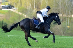 kreuth-2014_cic2-164-jpg