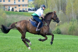 kreuth-2014_cic2-168-jpg