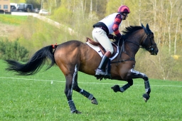 kreuth-2014_cic2-171-jpg