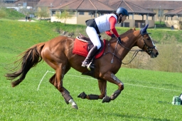 kreuth-2014_cic2-176-jpg