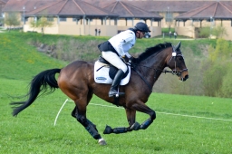 kreuth-2014_cic2-181-jpg