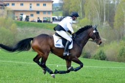 kreuth-2014_cic2-182-jpg