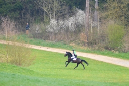 kreuth-2014_cic1-026-jpg