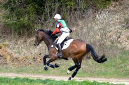 kreuth-2014_cic1-040-jpg