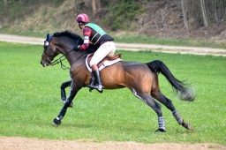 kreuth-2014_cic1-042-jpg