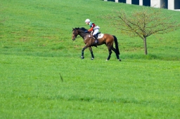 kreuth-2014_cic1-045-jpg