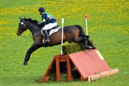 kreuth-2014_cic1-066-jpg