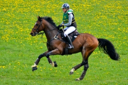 kreuth-2014_cic1-073-jpg